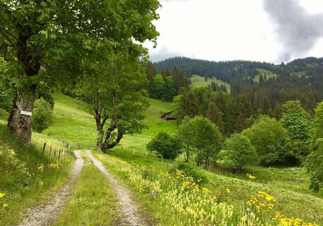 Wasserfallweg_Kitzbüheler Alpen_Nicola Thost (2018)_LIGHT1.jpg