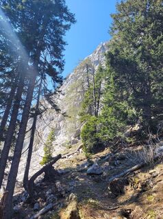 Foto von Ulrike P entlang der Tour