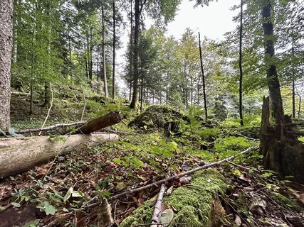 Foto von Christian Bozsoki entlang der Tour
