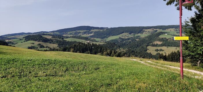 Foto von Andrea Flechl entlang der Tour