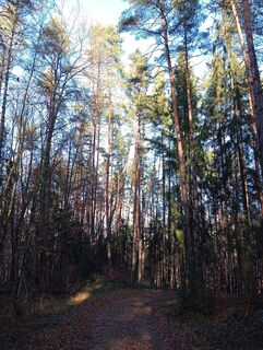 Foto von Stephane Cappellaro entlang der Tour