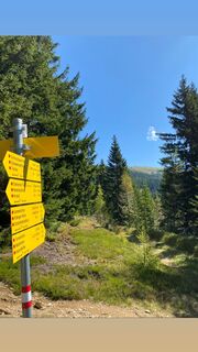 Foto da Melanie Hörzer lungo il tour