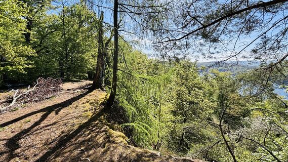 Photo de Eva T. le long du parcours