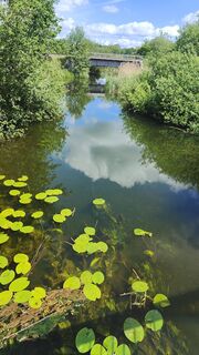 Photo de Sigurdwitt le long du parcours