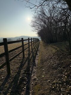 Foto de Armin Von Falkenhayn a lo largo del recorrido