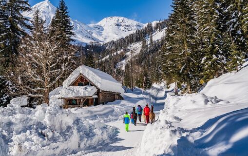 Blick von der Stokerhütte Richtung Jamnigalm