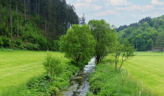Natursteig Sieg Etappe 9