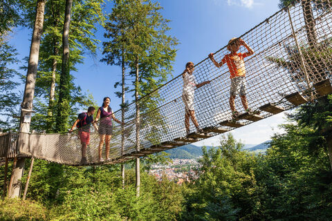Baumkronenweg Waldkirch