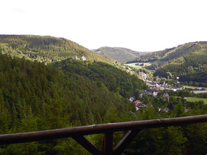 Blick auf Leutenberg mit Schloss