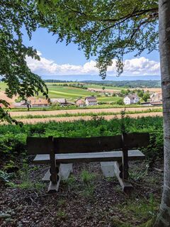 Photo de G. Jaquet le long du parcours