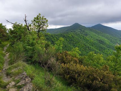 Foto von Stefano Fabi entlang der Tour
