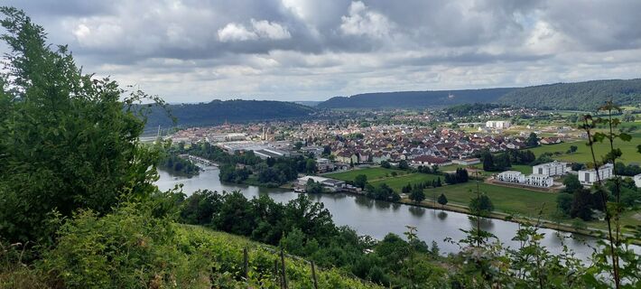 Blick auf Haßmersheim