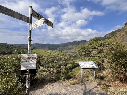 Fotografia z Anke Regitz na trase