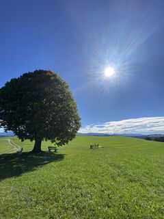 Foto von Sven Krieblin entlang der Tour