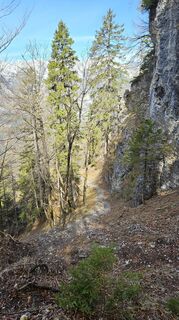 Fotografija s spletne strani kriessda na poti