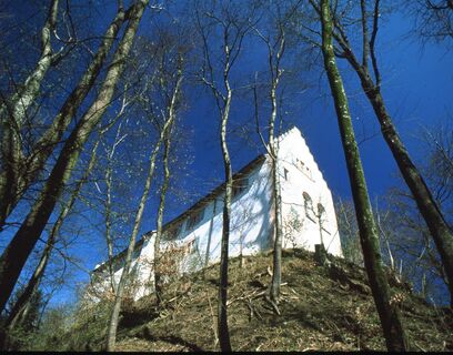 Ruine Alt Bodman