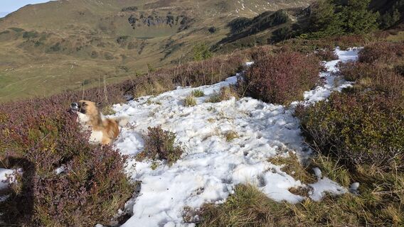Foto von V Feurstein entlang der Tour