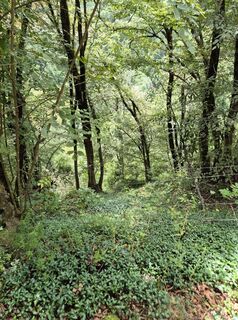 Photo de Flip Schut le long du parcours