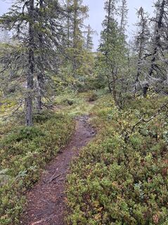 Foto fra Jako Koel undervejs på turen