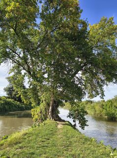 Zdjęcie z Petr Banas wzdłuż trasy