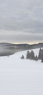 Foto de Moni a lo largo del recorrido