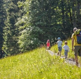 Unterwegs auf dem Klimaerlebnisweg