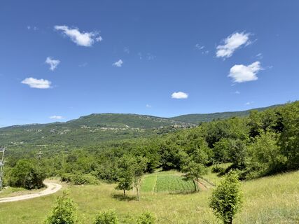 Photo de firebird 93 le long du parcours
