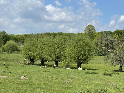 Landidylle