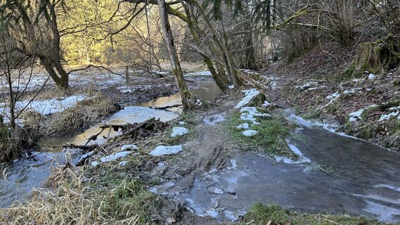 Photo de Matthias G74 le long du parcours