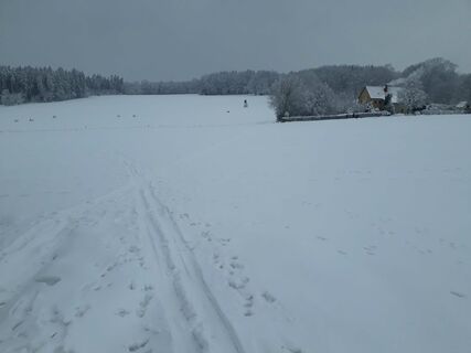 vom Wacheberg bergab zum Stadtwald