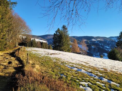 Fotografija s spletne strani Birgit Veeser na poti