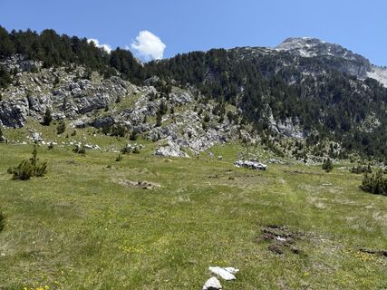 Photo de Hanni Krieger le long du parcours