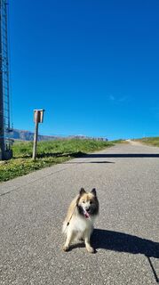 Foto von Michael Sparlund entlang der Tour