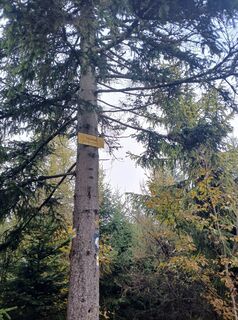 Foto von Daniel Kremiec entlang der Tour