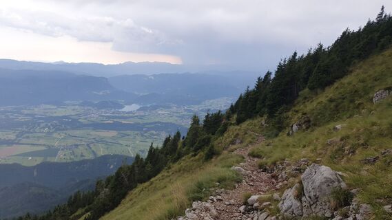 Fotografija s spletne strani Anica varga na poti
