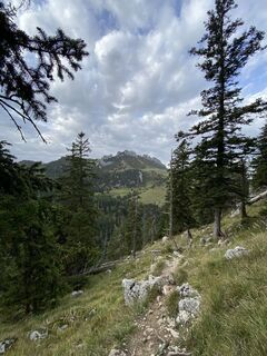 Fotografia z Sven Krieblin na trase