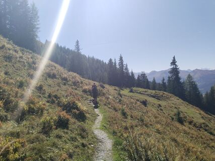 Großarl, Salzburg/Österreich
