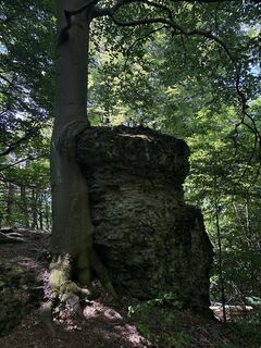 Zdjęcie z István Rab wzdłuż trasy