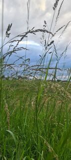 Fotó a Monika Röska honlapról a túra során