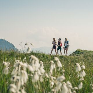 Einzigartige Landschaft rund um den Findenig