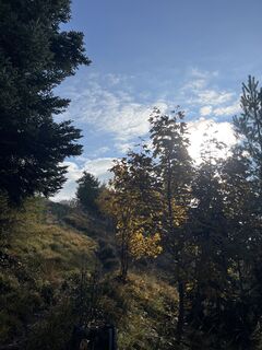 Photo de sophie le long du parcours