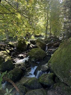 Foto von Jochen Reich entlang der Tour