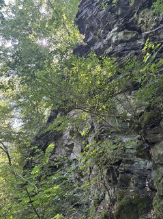 Fotografija s spletne strani Gerald na poti