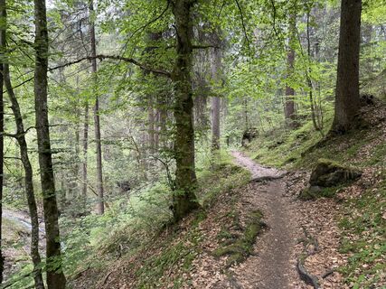 Foto von Rico Vincenz entlang der Tour