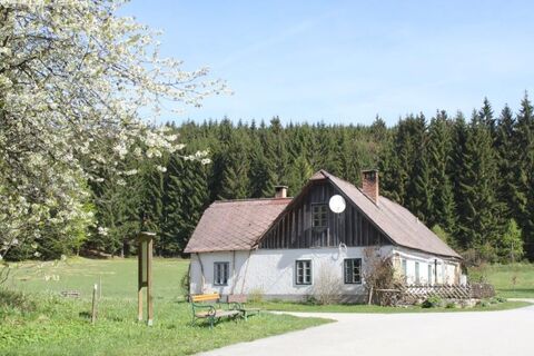 Schwemmweg