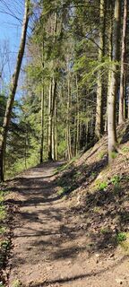 Zdjęcie z Sonja Enzenhofer wzdłuż trasy