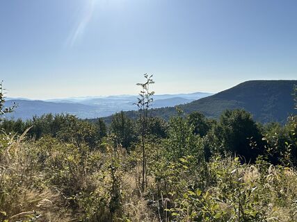 Fotografia z David Vala na trase