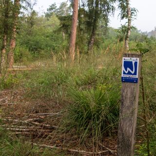 Markierungsschild an Pfosten