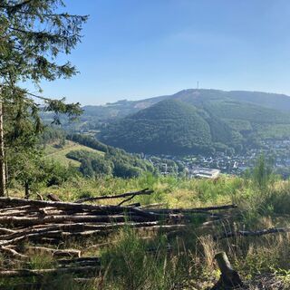 Hohe Schlade_Aussicht .jpeg