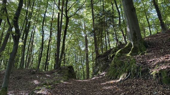 Fotografia z Jörg Lengenfelder na trase